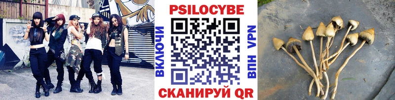 Псилоцибиновые грибы MAGIC MUSHROOMS  MEGA маркетплейс  Новопавловск 